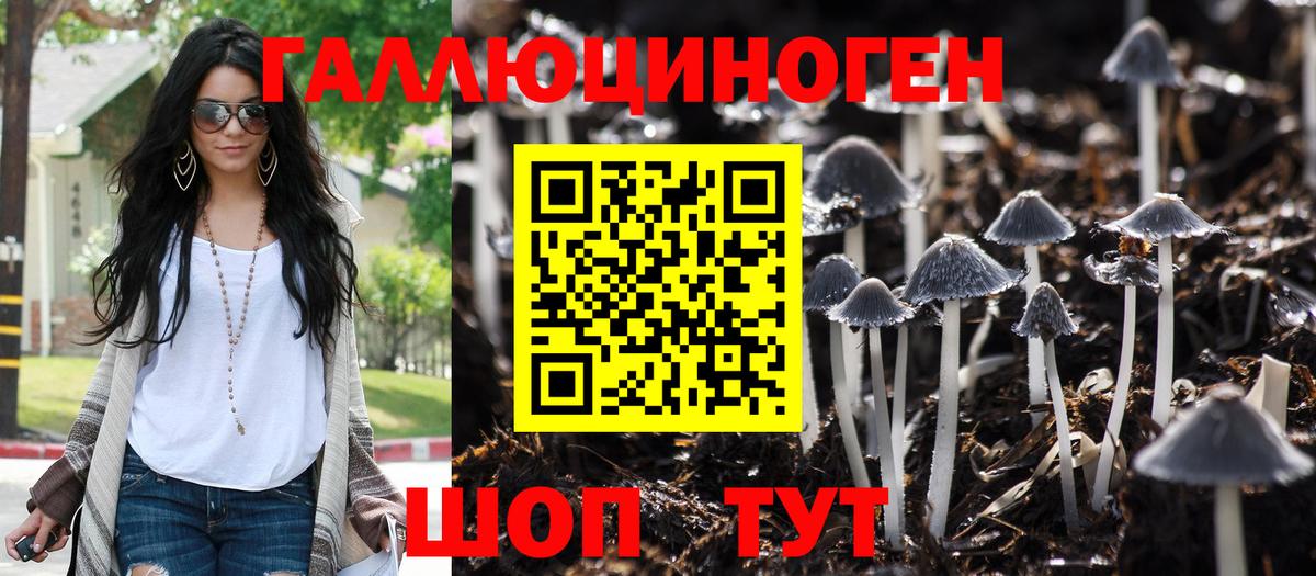 Псилоцибиновые грибы GOLDEN TEACHER Екатеринбург