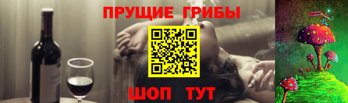 Галлюциногенные грибы Psilocybe  Вход с VPN  Екатеринбург 